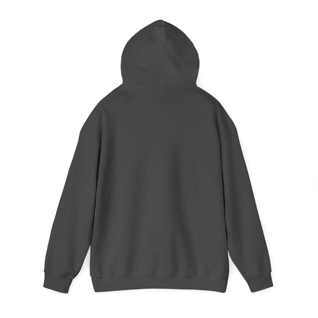 SAF 'Special As F***' Hoodie — Minimal Silhouette Graphic Pullover